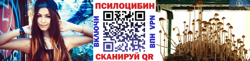 Псилоцибиновые грибы Magic Shrooms  omg ссылки  Лангепас  закладки 